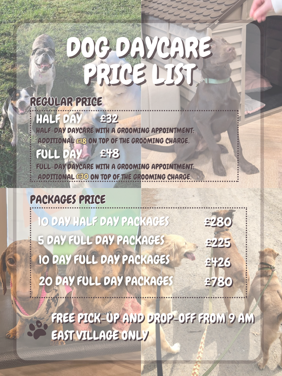 Dog Daycare The Villages Pet Spa Dog Daycare Four Paws Pet Resort