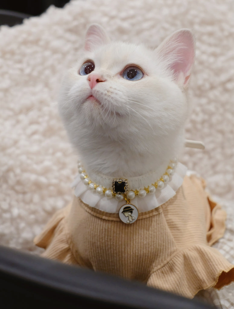 Small Pet Dog Cat Luxury Tee Shirt Checker Pet Clothes -  Denmark