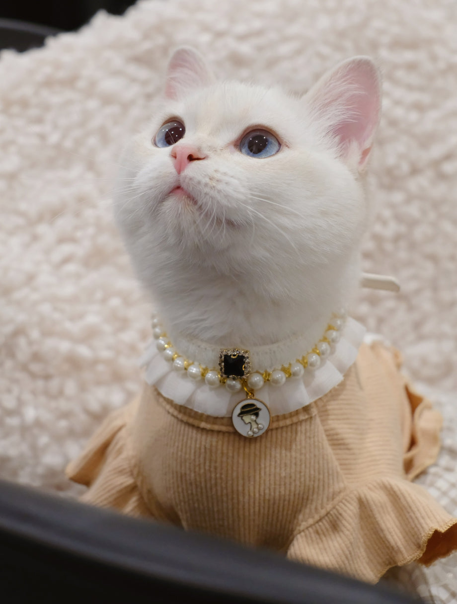 Cat Outfits Furmily Cat Outfits Furmily