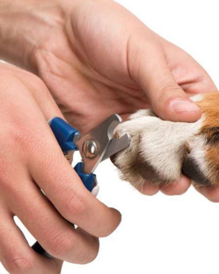 Nail Clipping | E20 1BD