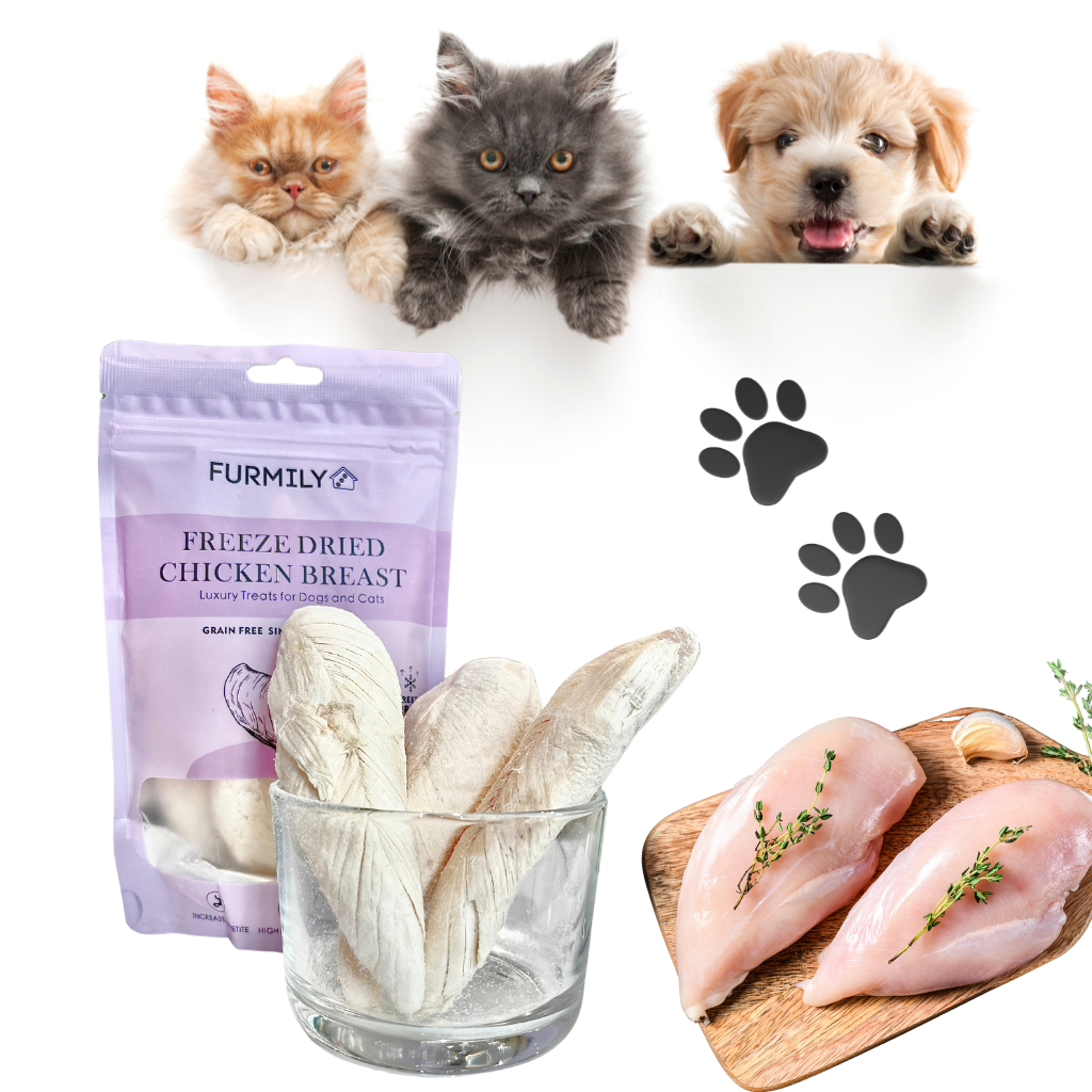 Wholesale Freeze-Dried Treats