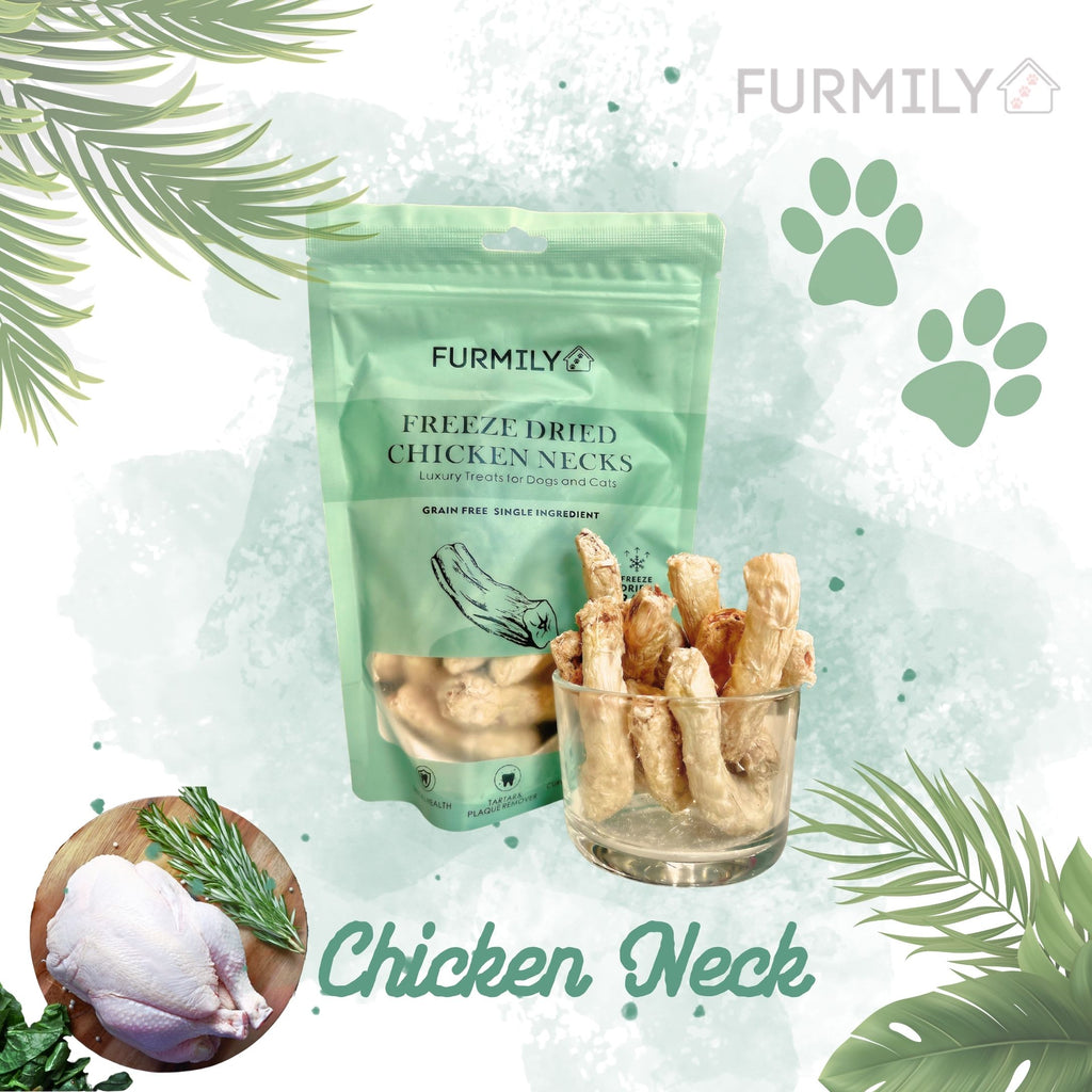 Freeze-Dried Chicken & Duck Treats Box for Cats & Dogs by Furmily