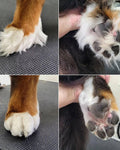 Nail Clipping & Paw Trimming | E20 1BD