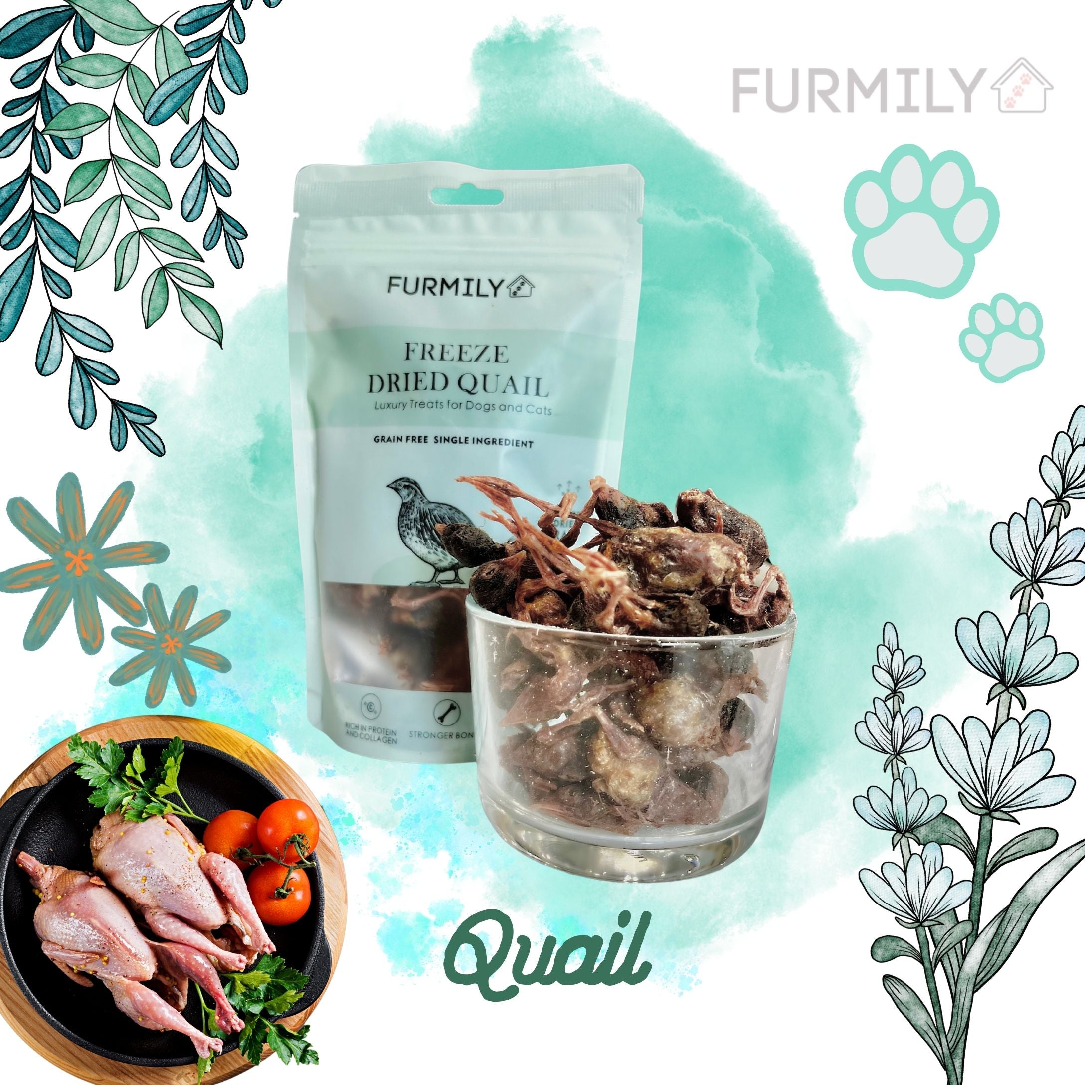 Freeze-Dried Rainbow Treats Box for Cats & Dogs by Furmily