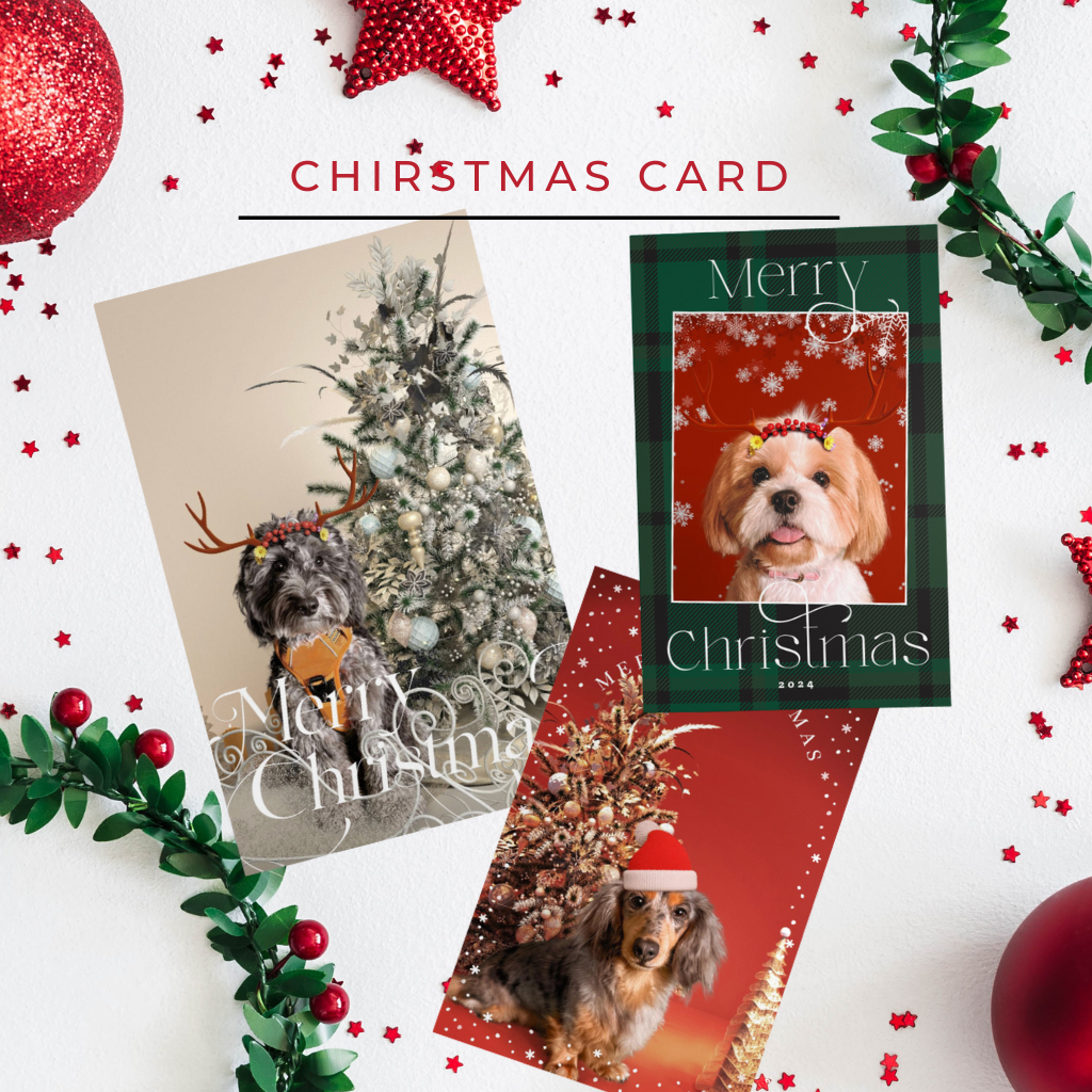 Christmas Photoshoot & Cards
