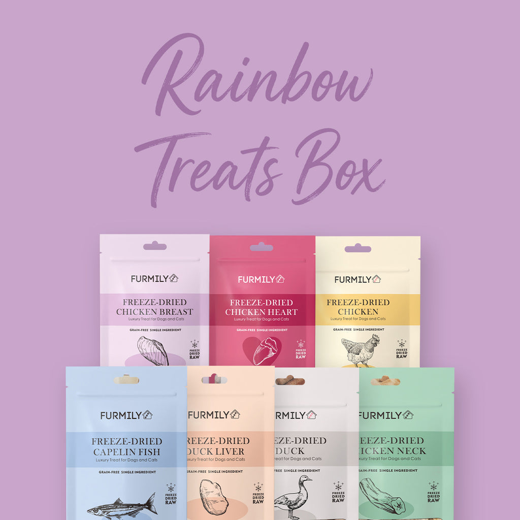 Freeze-Dried Rainbow Treats Box for Cats & Dogs by Furmily