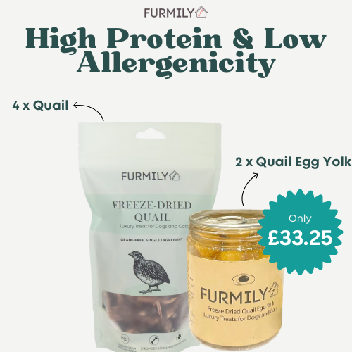 High-Protein & Low-Allergen Bundle