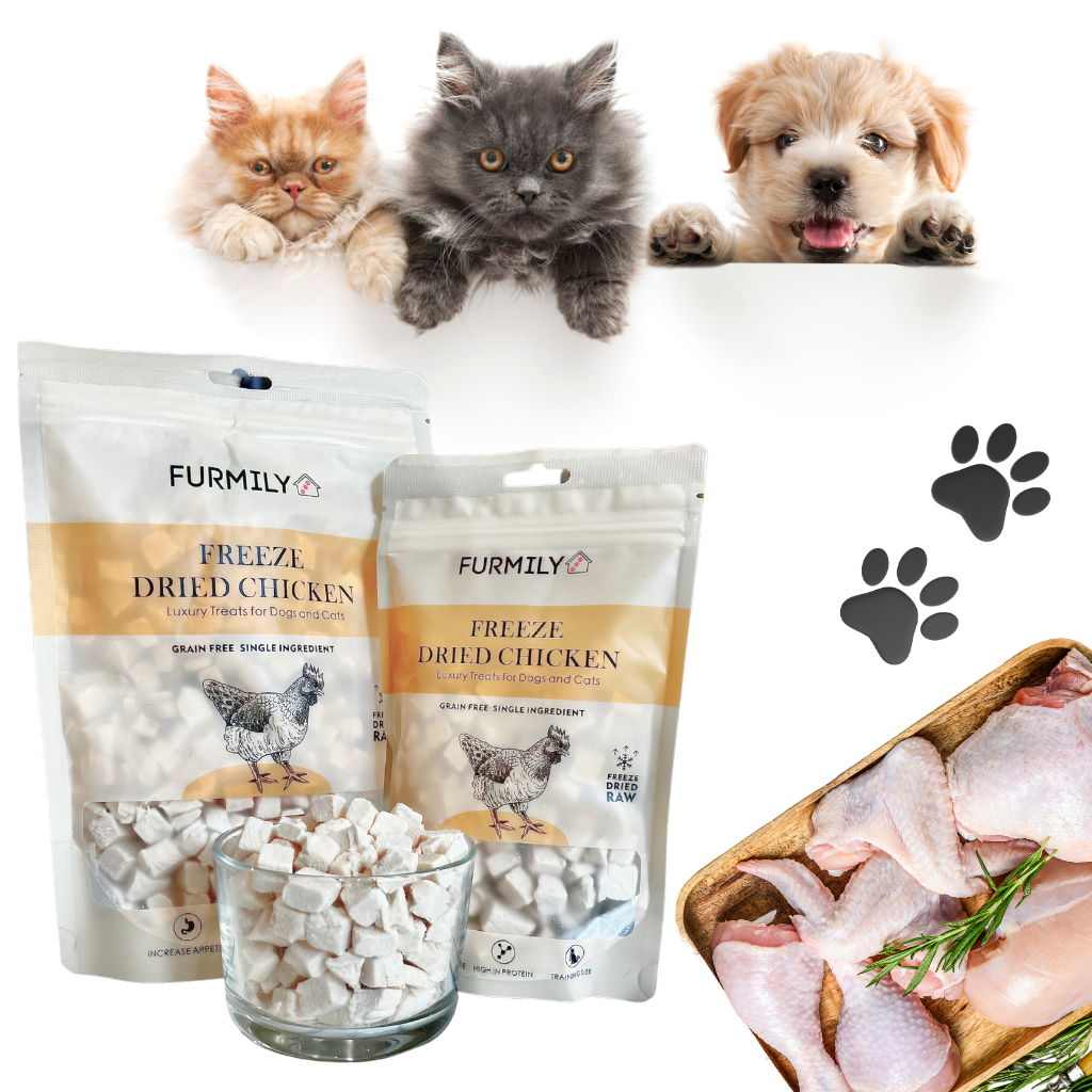 Freeze-Dried Chicken Pet Treats by FURMILY 40g/100g