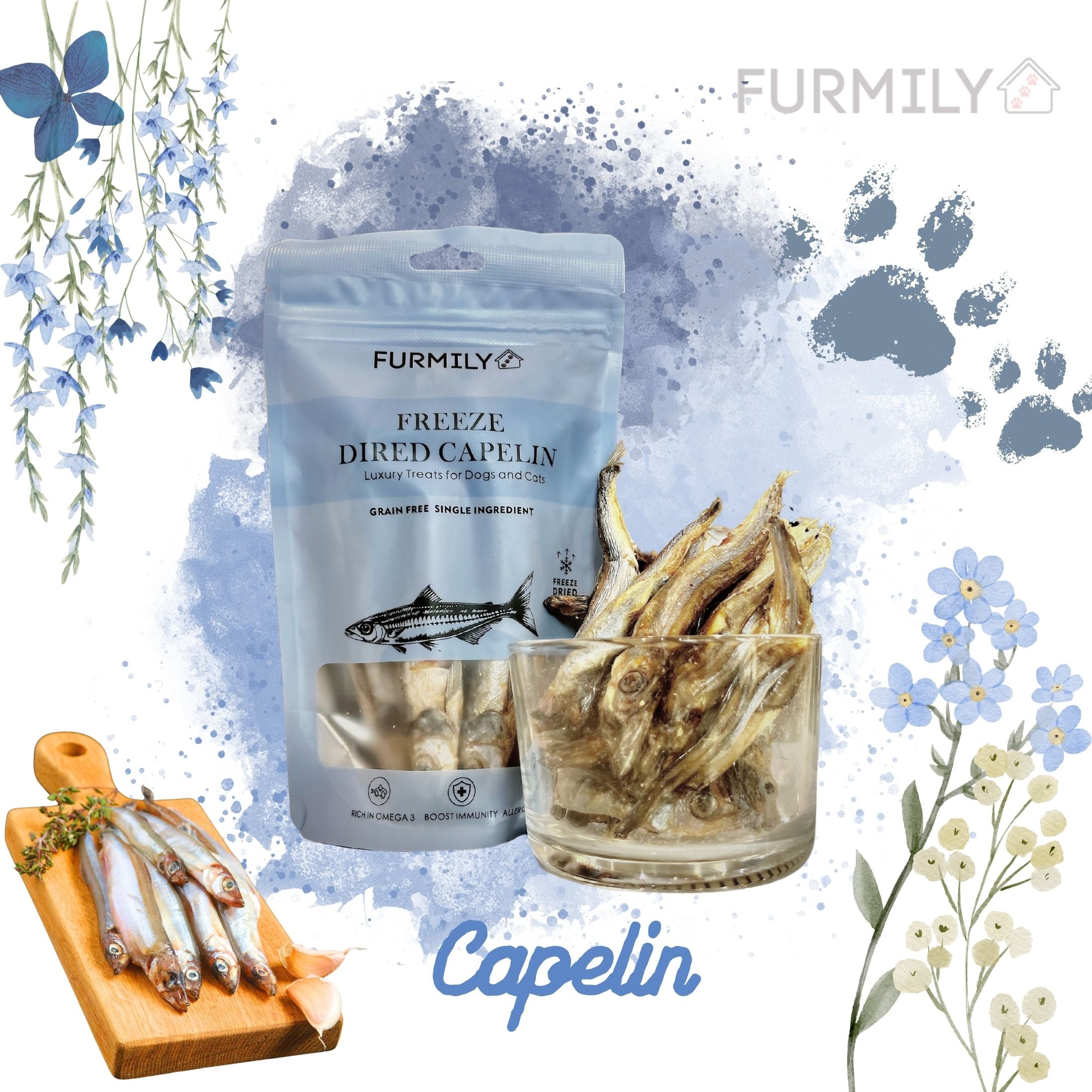 Freeze-Dried Rainbow Treats Box for Cats & Dogs by Furmily