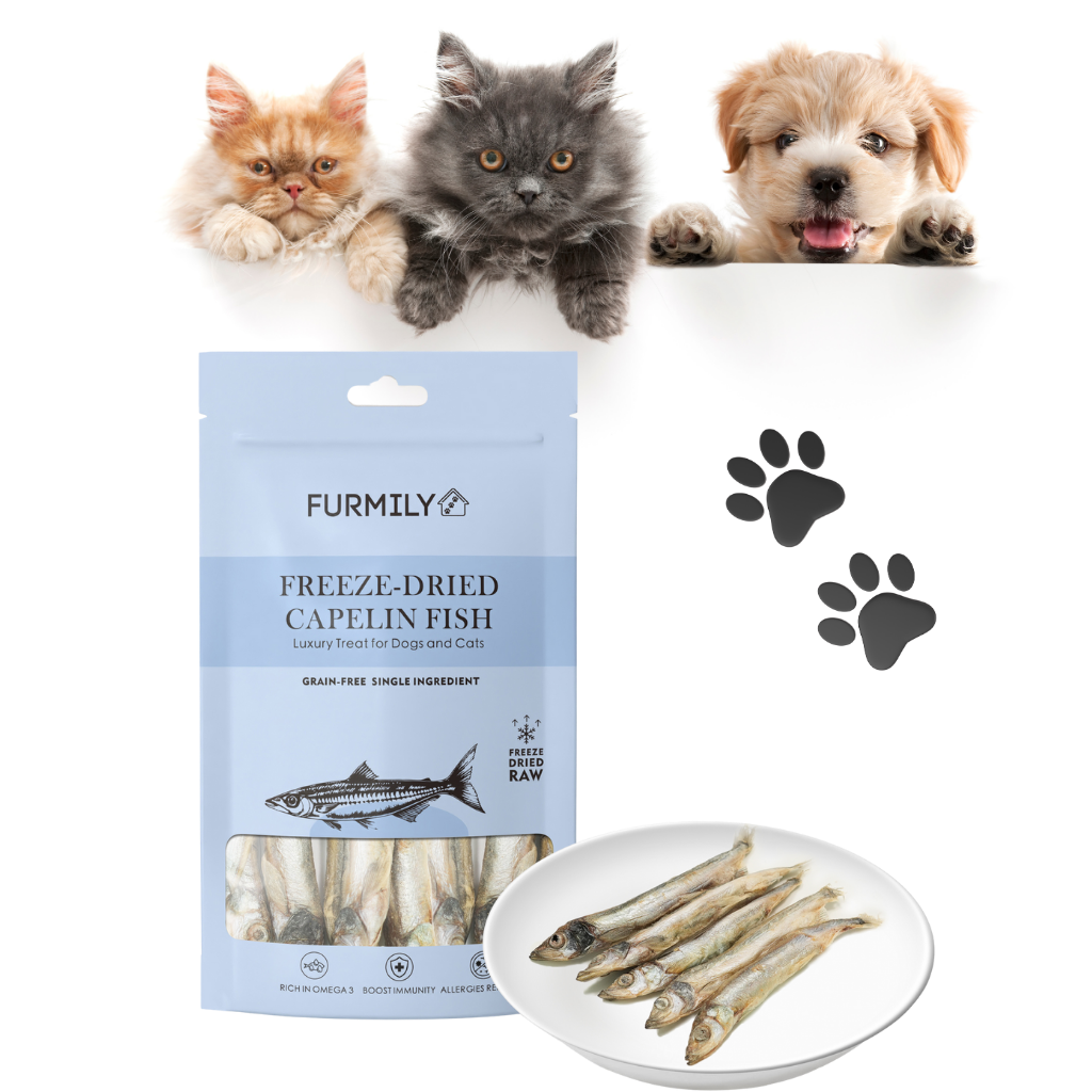 Freeze-dried Capelin Fish Pet Treats by FURMILY 40g