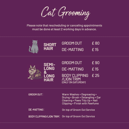 Cat Grooming | E20 1BD