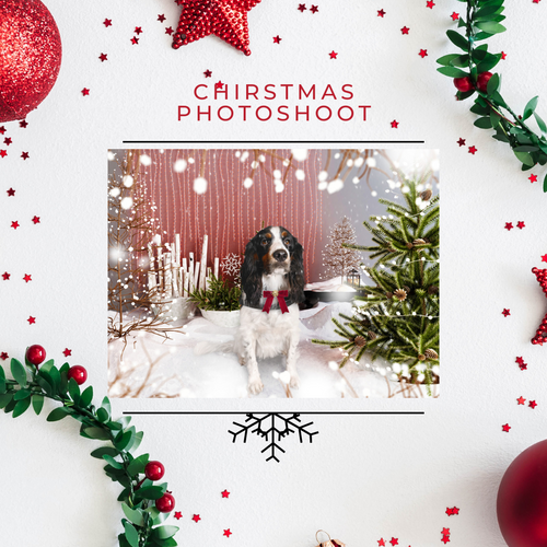 Christmas Photoshoot & Cards