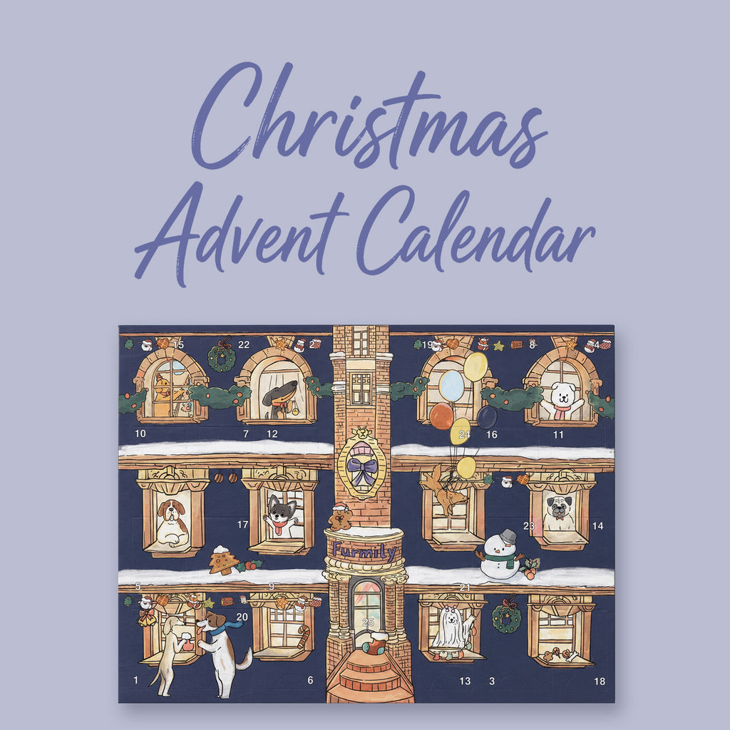 Christmas Advent Calendar For Dogs