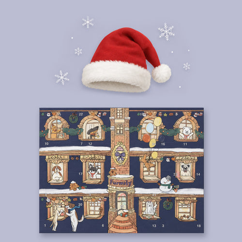 Christmas Advent Calendar For Dogs