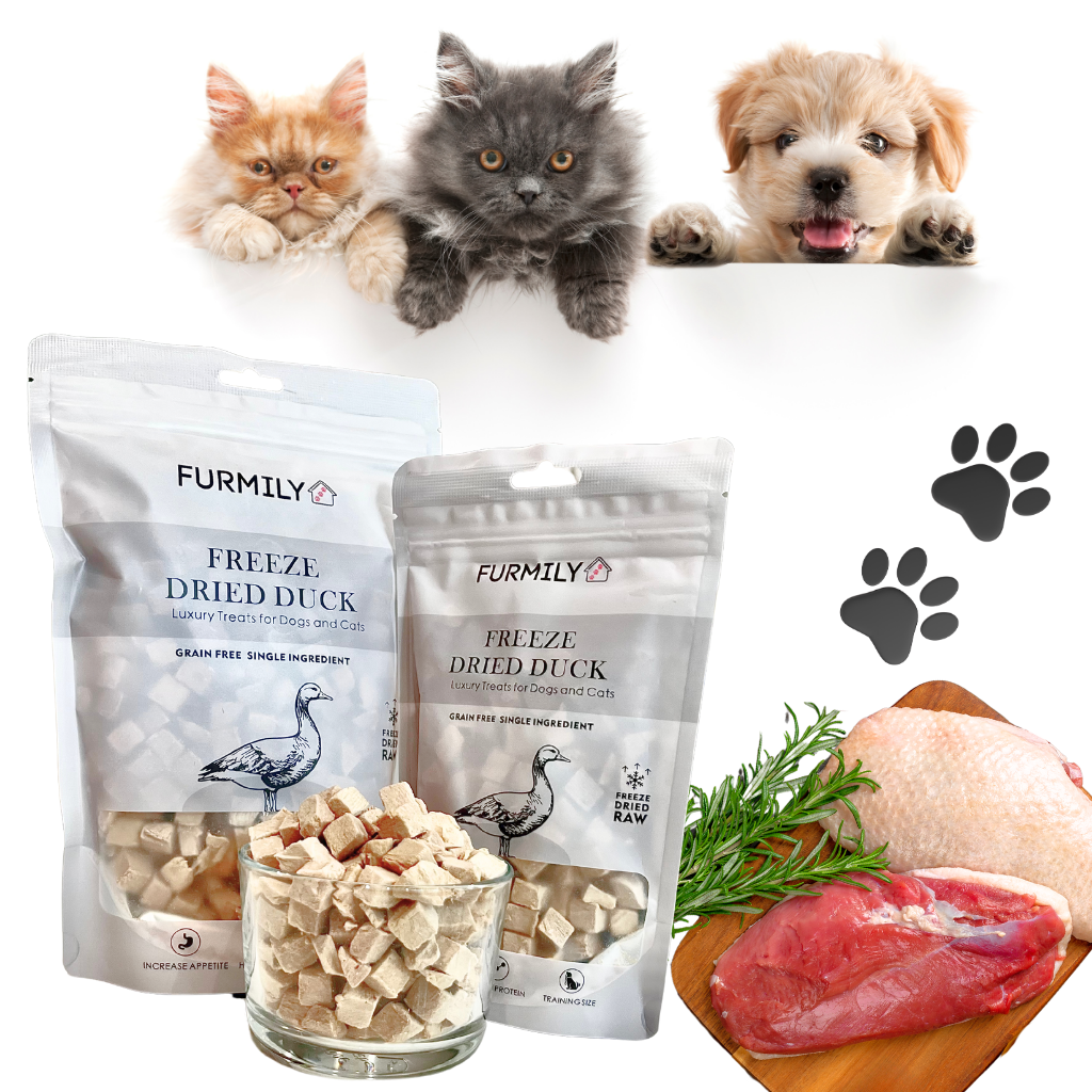 Freeze-Dried Duck Pet Treats by FURMILY 40g/100g