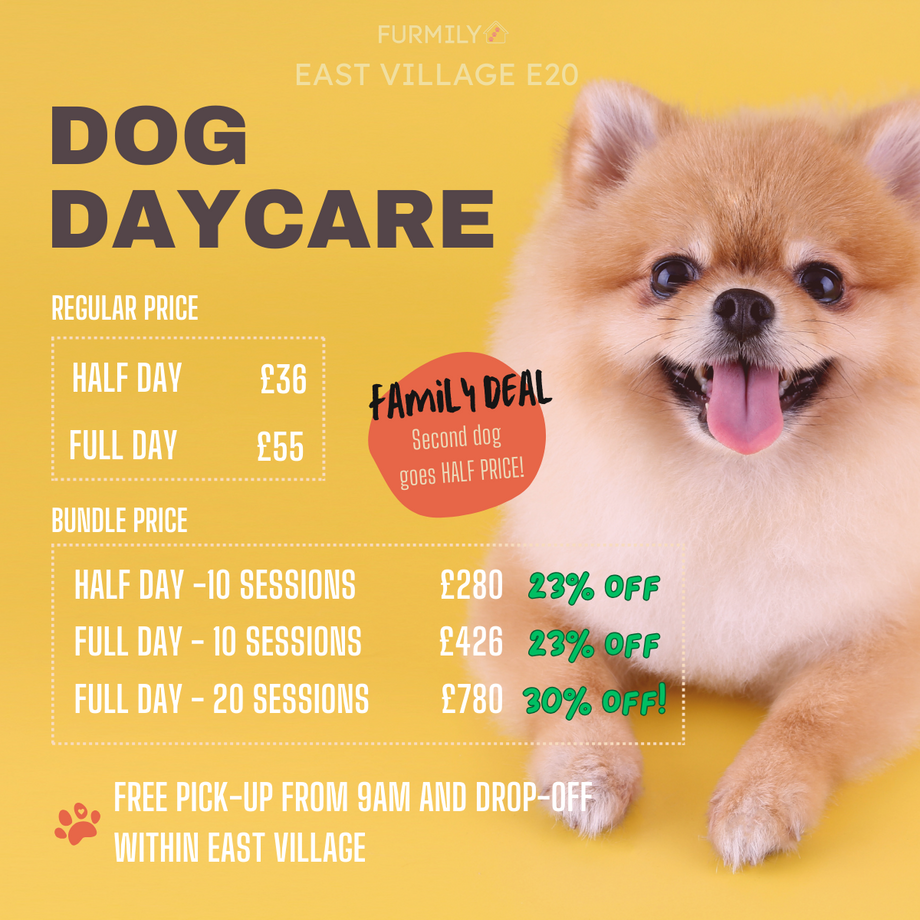 All day doggie deals daycare