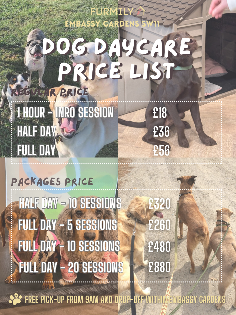 Dog Day Care SW11 7AY – Furmily - Main Image