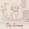 Dog Grooming | E20 1BD