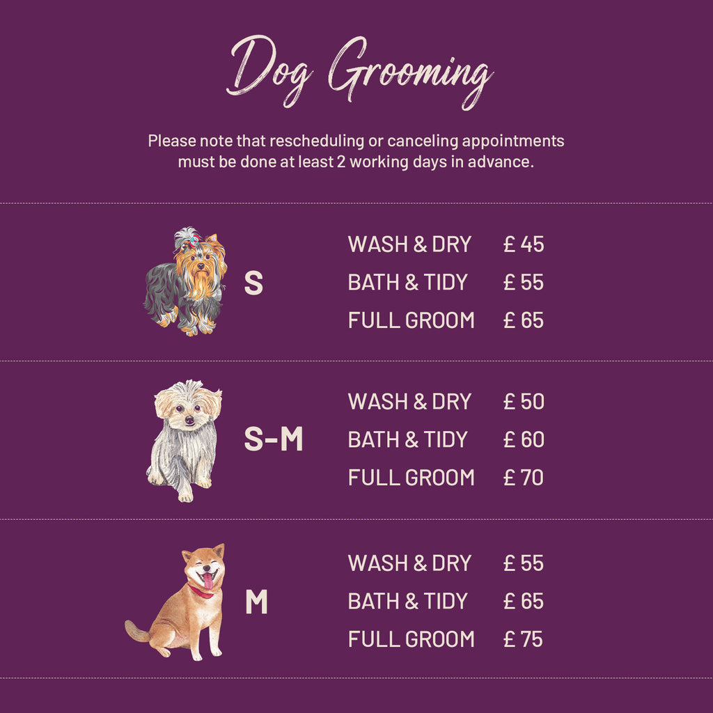 Dog Grooming | E20 1BD