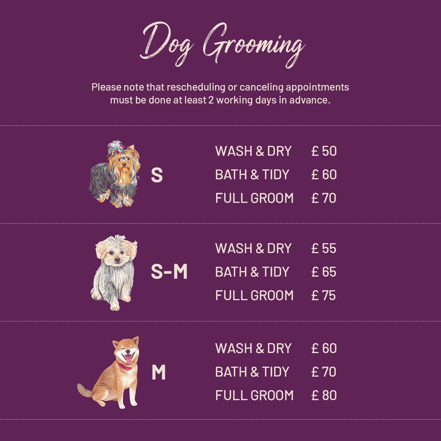 Dog Grooming | SW11 7AY