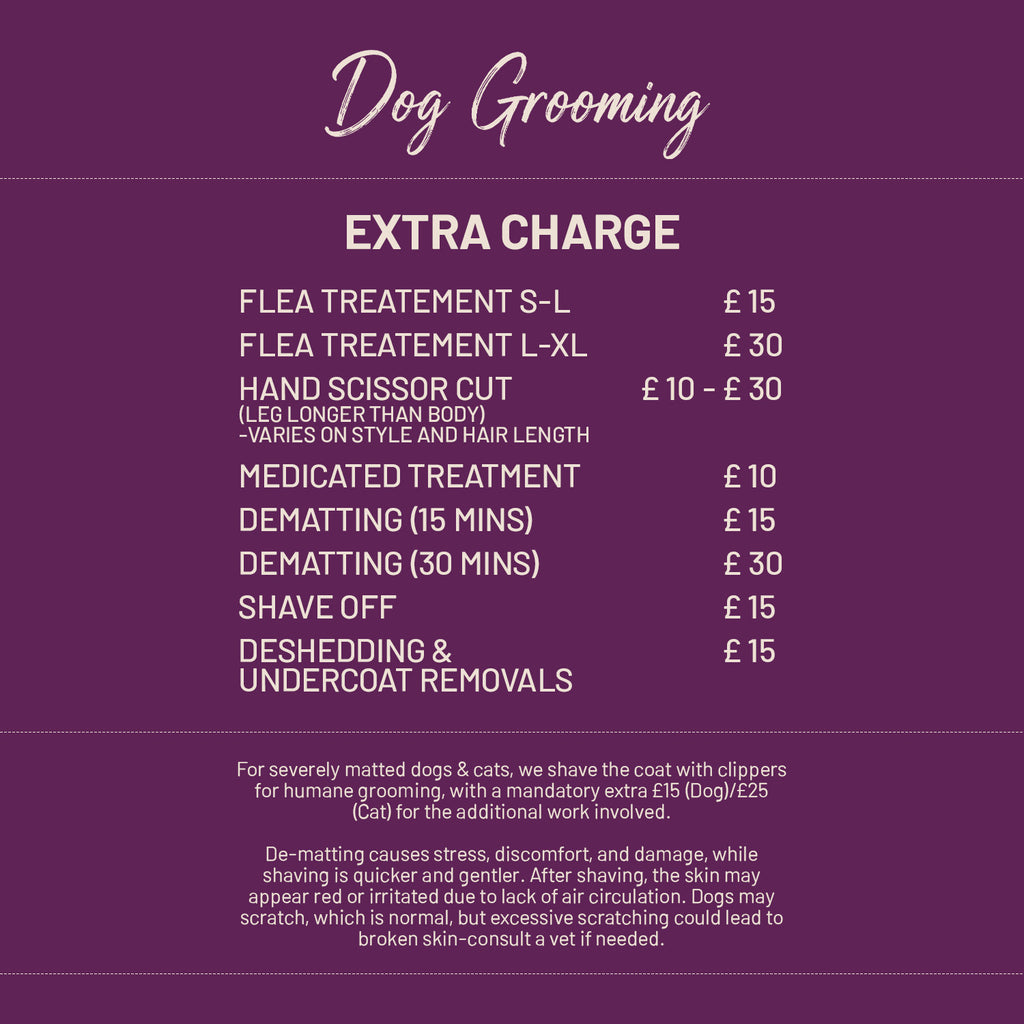 Dog Grooming | E20 1BD