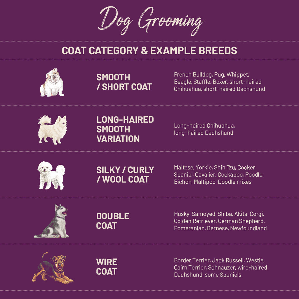 Book Dog Grooming @ SW11 7AY