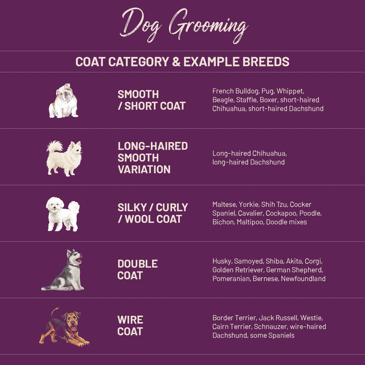 Book Dog Grooming @ SW11 7AY