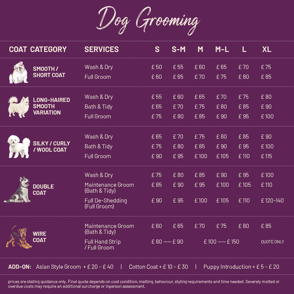Book Dog Grooming @ SW11 7AY