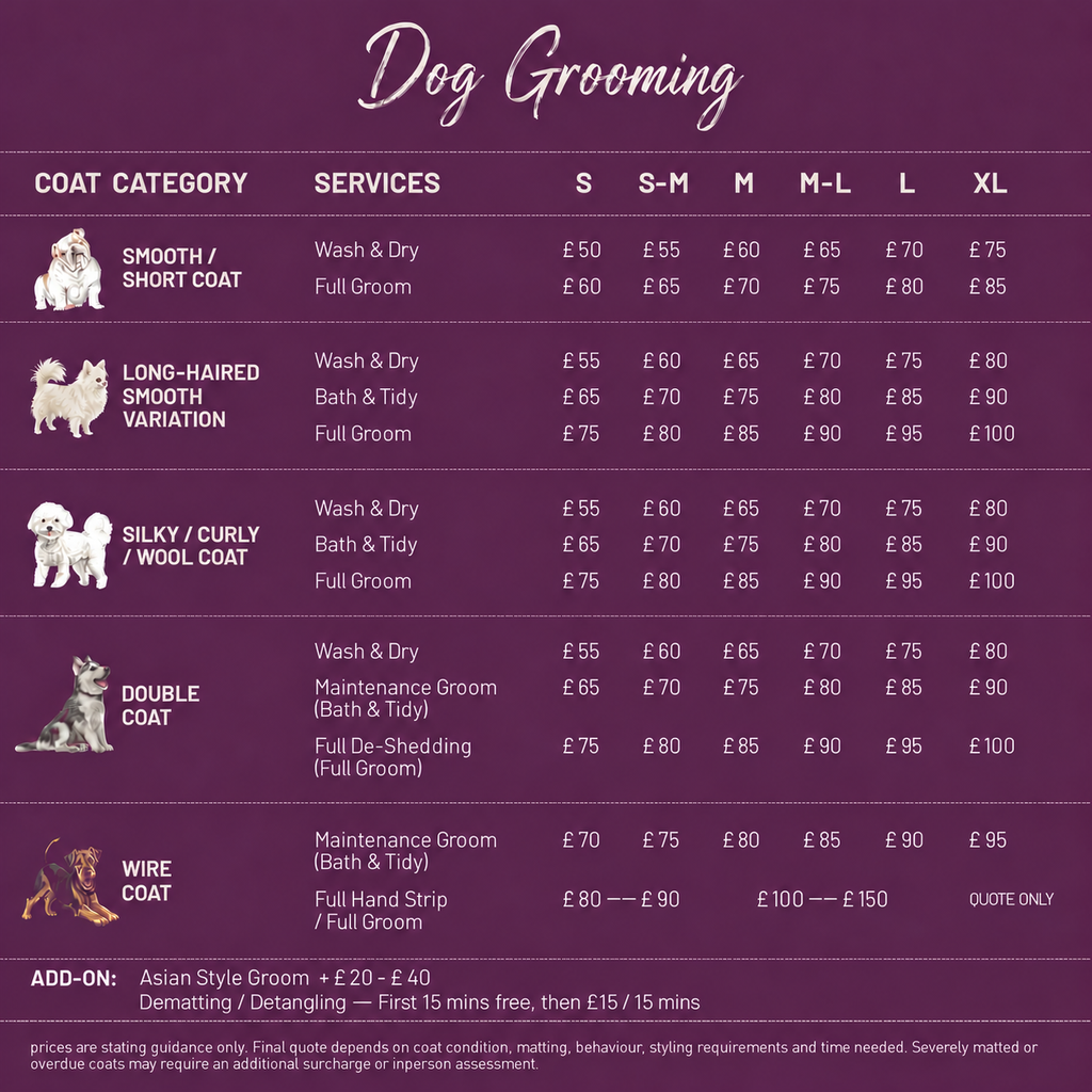 Dog Grooming | SW11 7AY