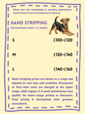 Hand Srtipping E20