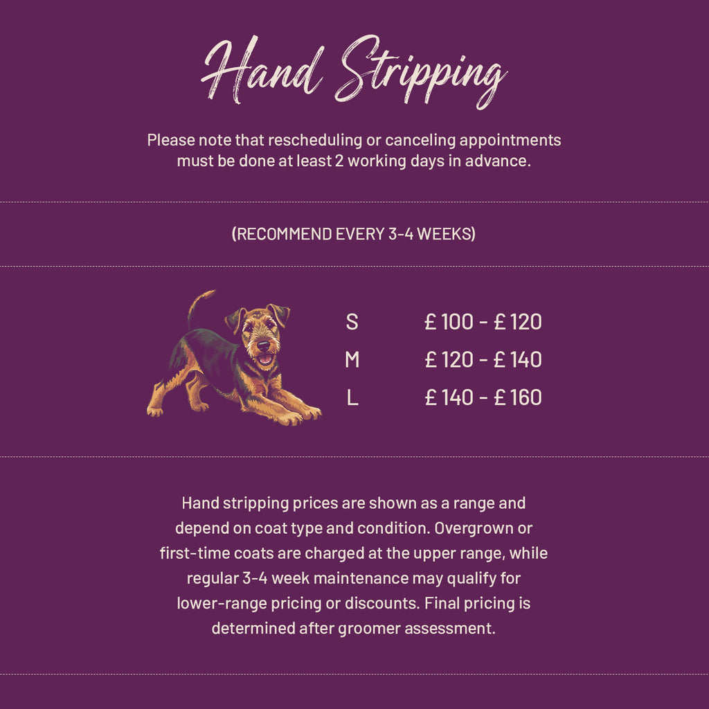 Hand Stripping SW11