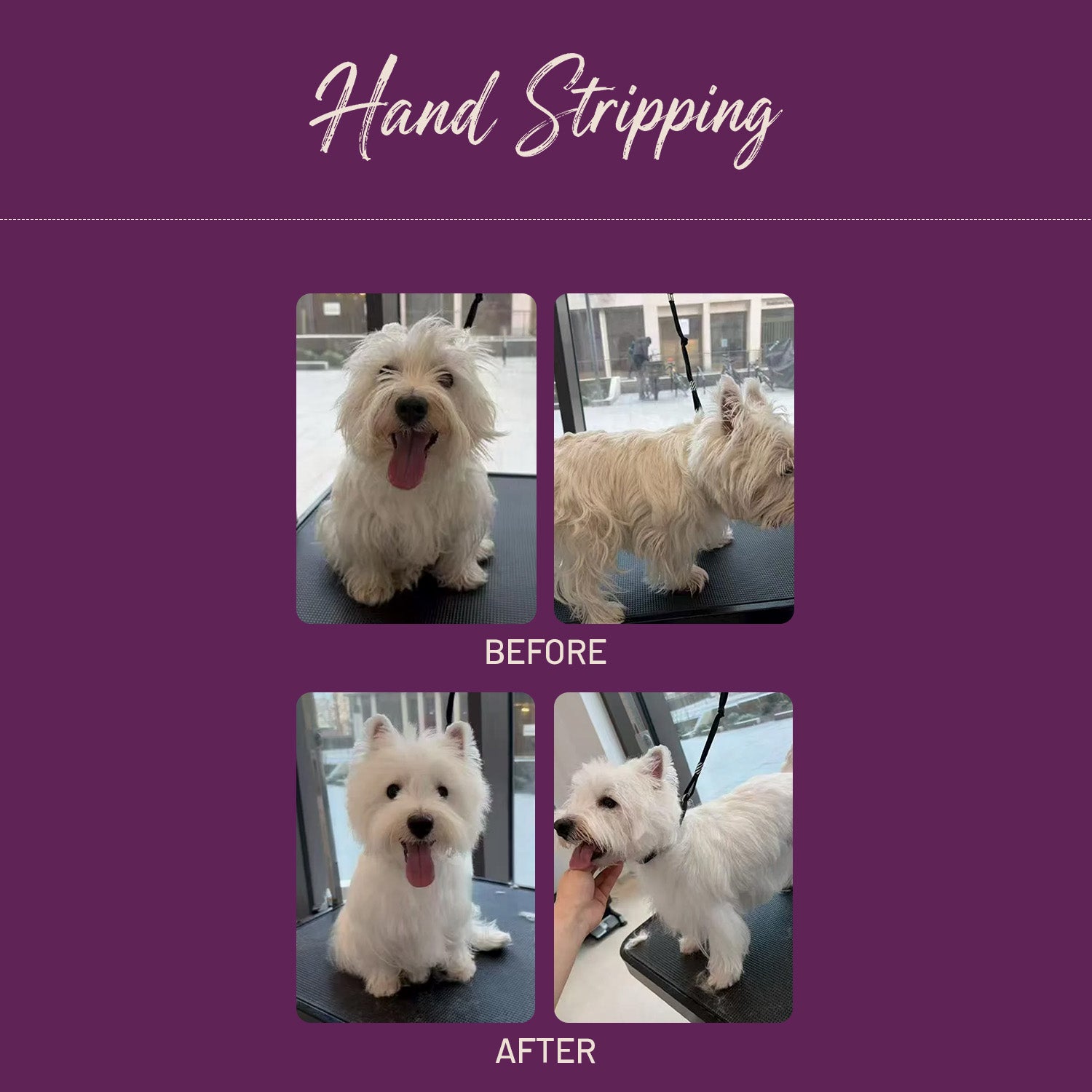 Hand Srtipping E20
