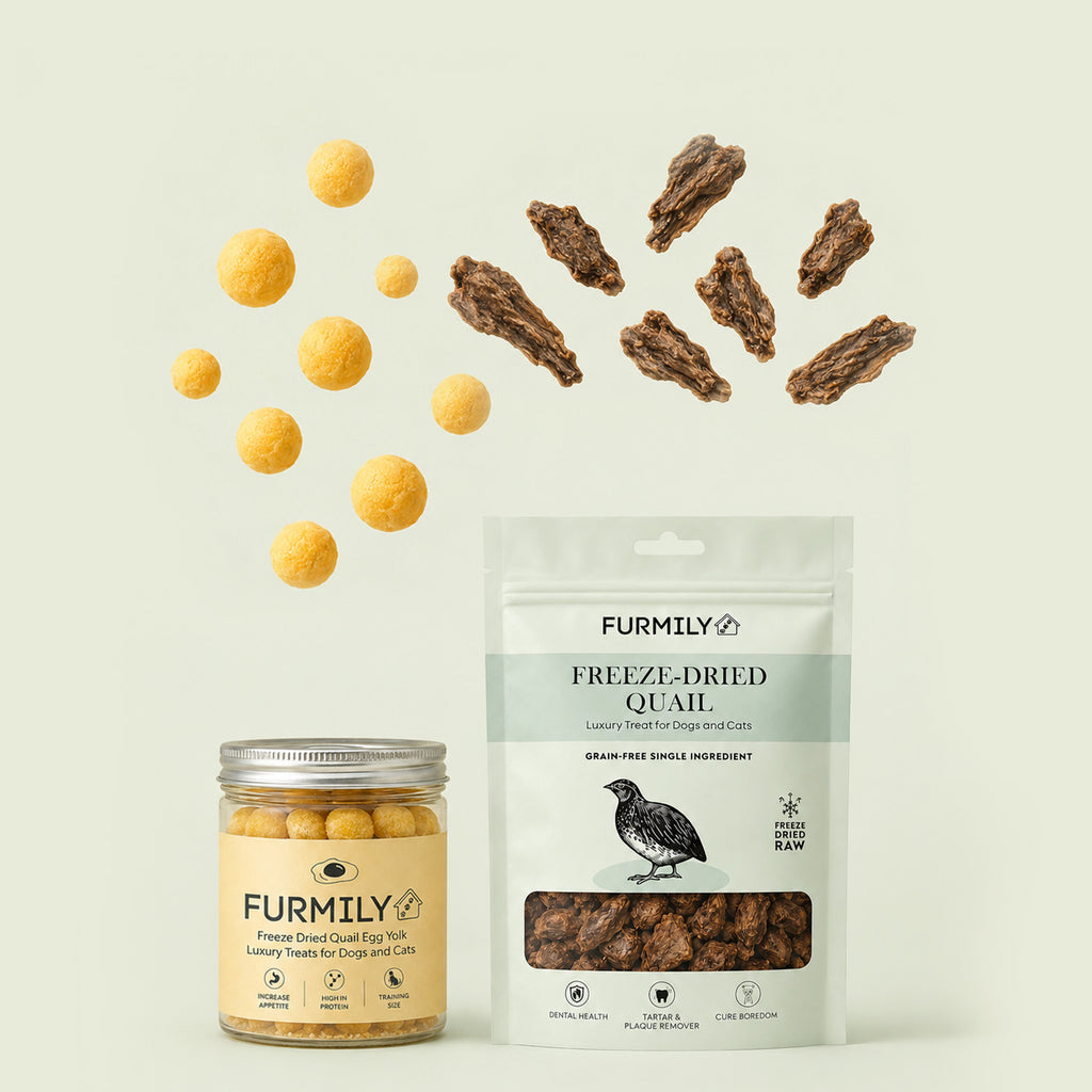 High-Protein & Low-Allergen Bundle