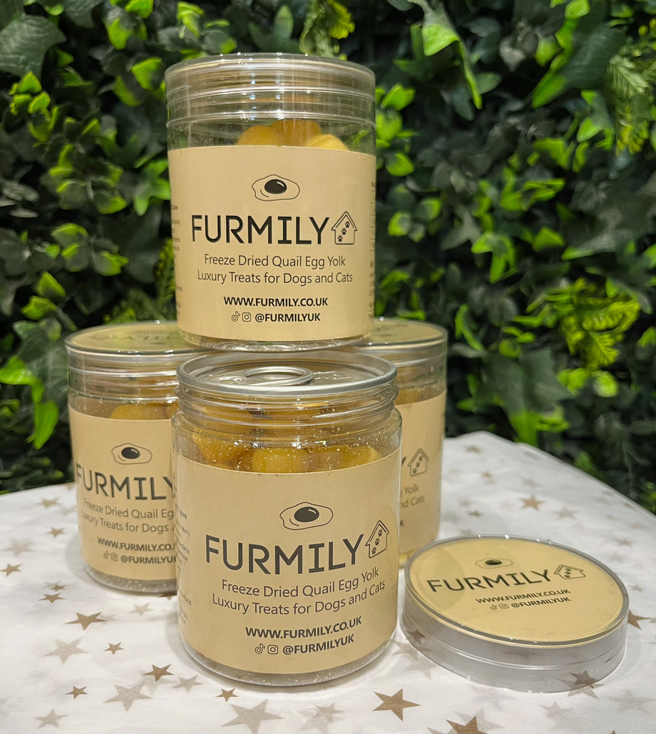 Quail eggs for 2024 dogs