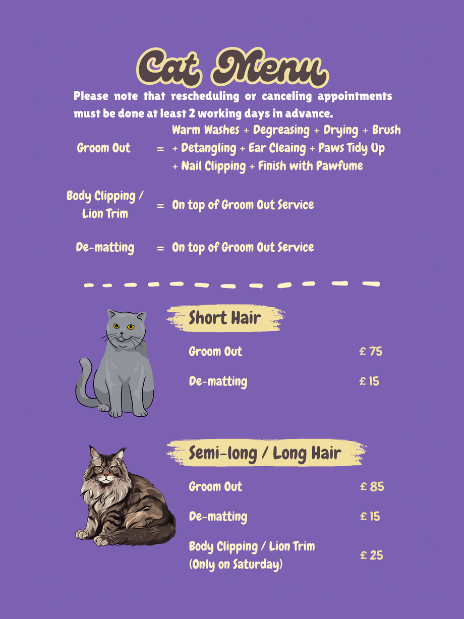 How Much Does a Cat Grooming Cost: A Complete Guide