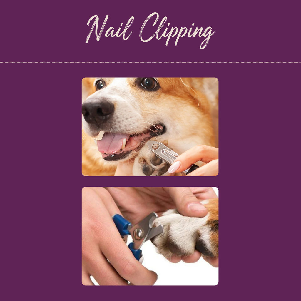 Nail Clipping | SW11 7AY