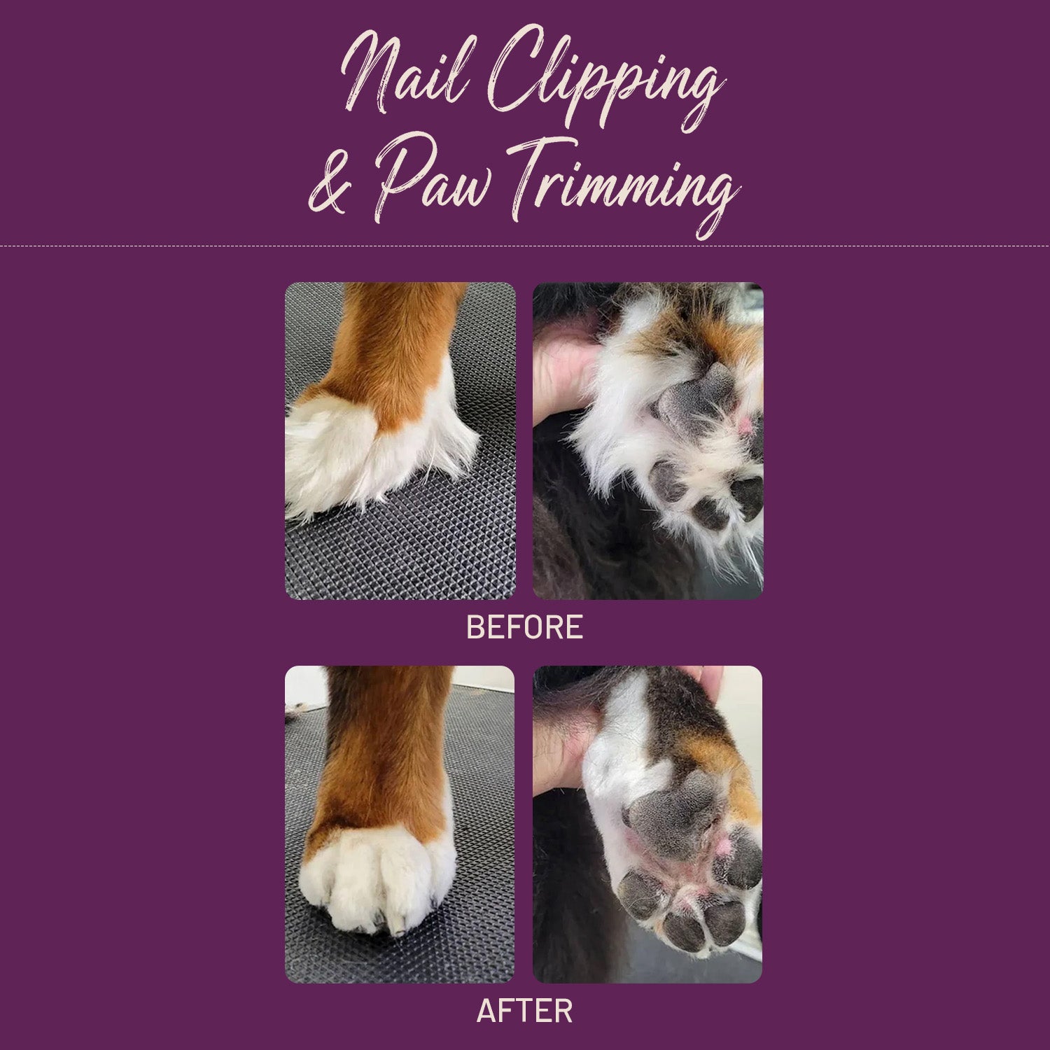 Nail Clipping & Paw Trimming | E20 1BD