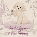 Nail Clipping & Paw Trimming | E20 1BD