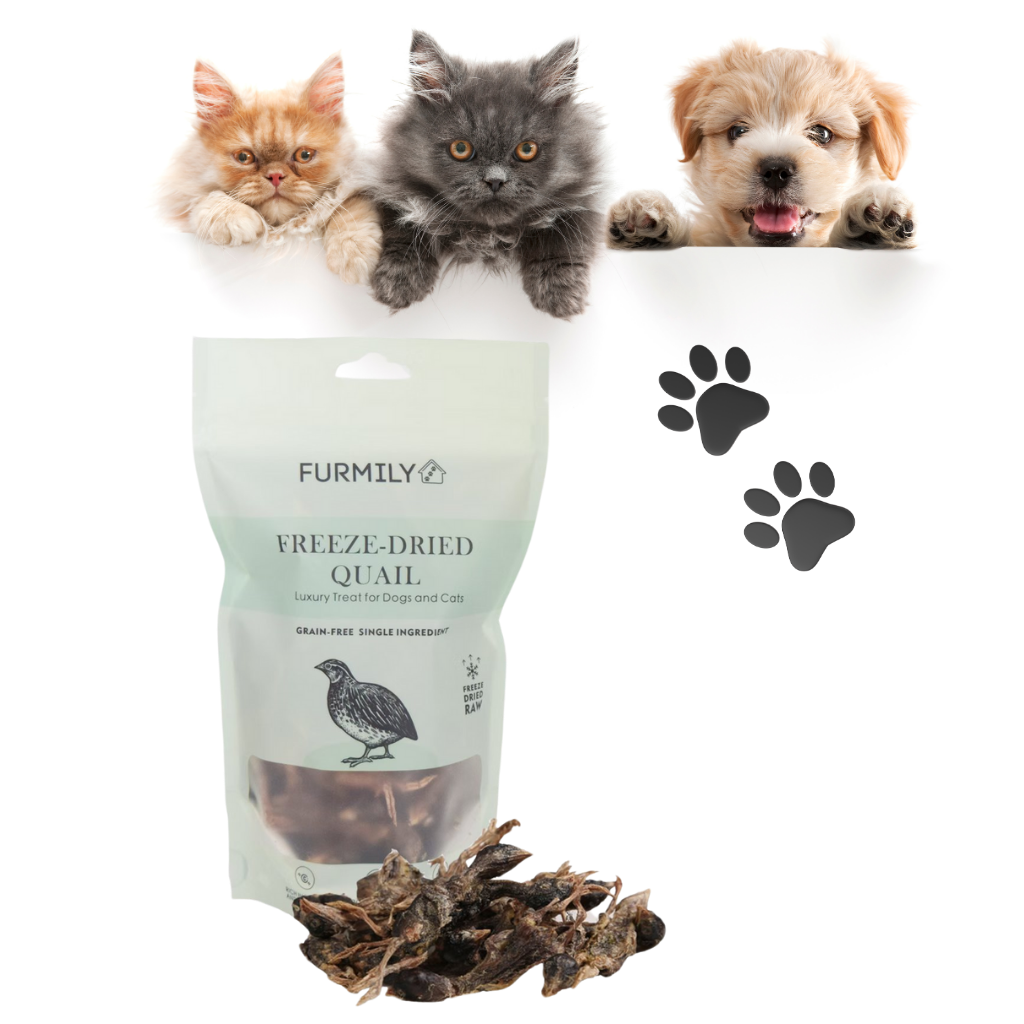 Freeze-Dried Quail Pet Treats by FURMILY 30g