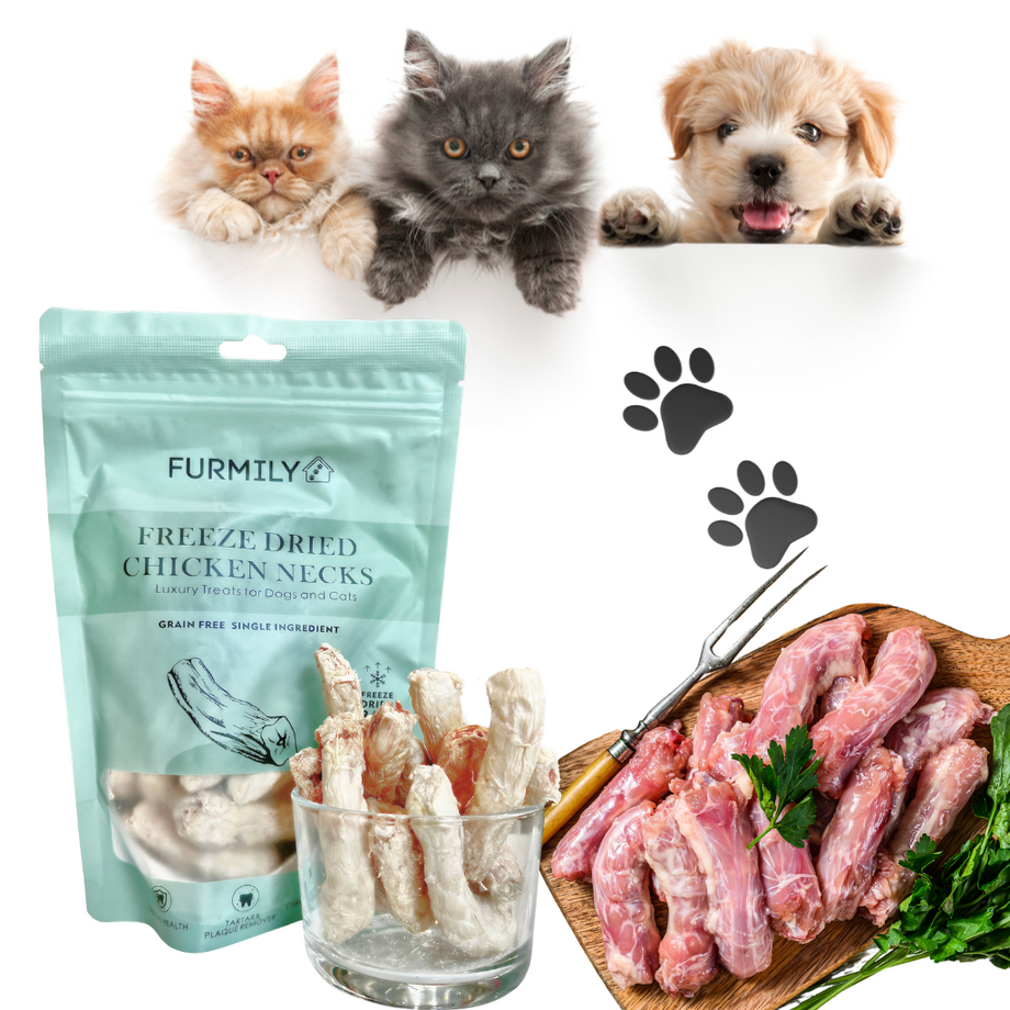 Freeze Dried Chicken Necks Pet Treats by FURMILY 80g 2 4 6 Bags Bundle