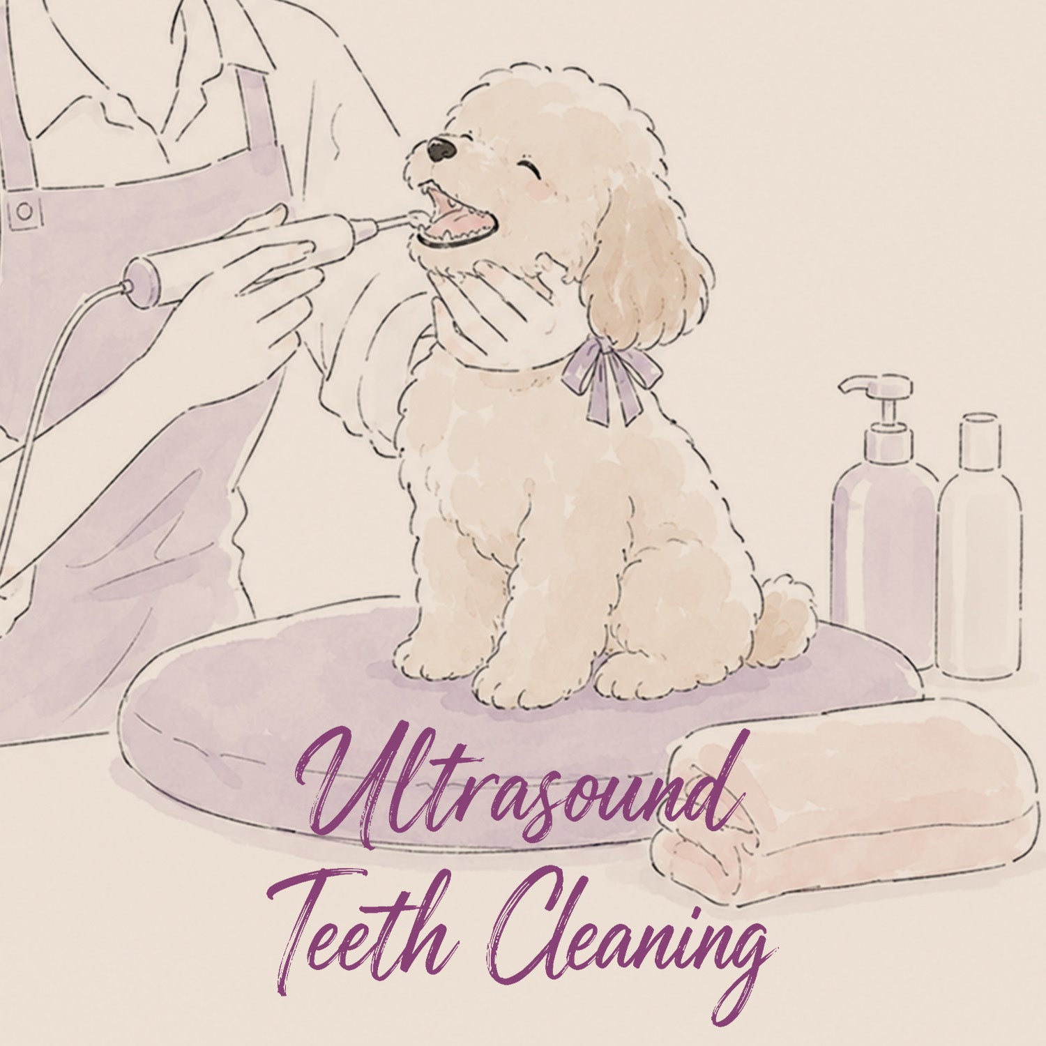 Ultrasound Teeth Cleaning  | SW11 7AY