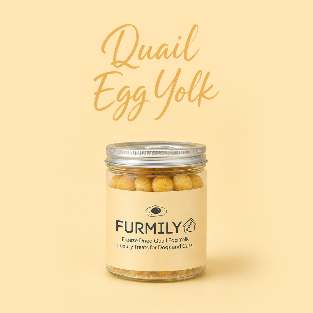 Freeze-Dried Quail Egg Yolks Pet Treats by FURMILY 50g