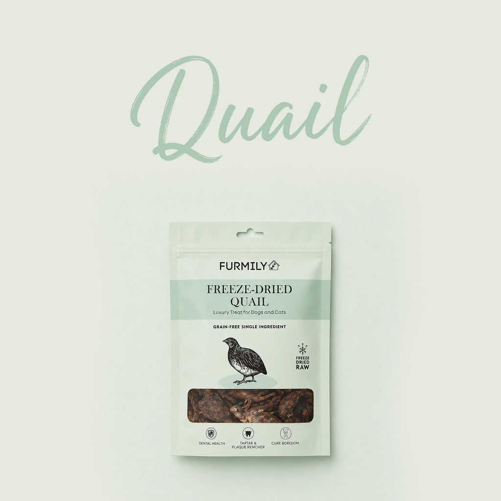 Freeze-Dried Quail Pet Treats by FURMILY 30g