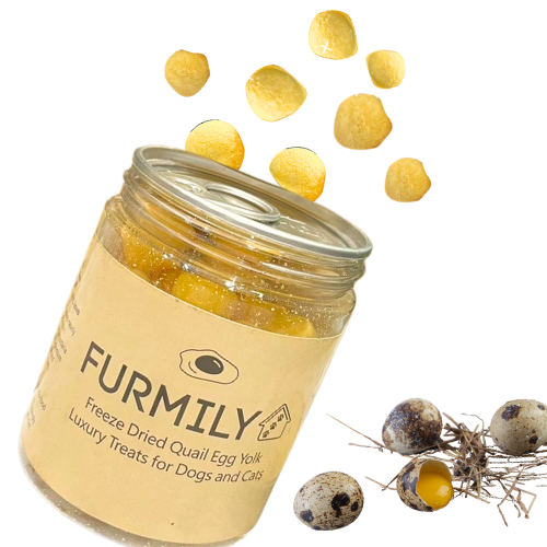 Freeze-Dried Quail Egg Yolks Pet Treats by FURMILY 50g