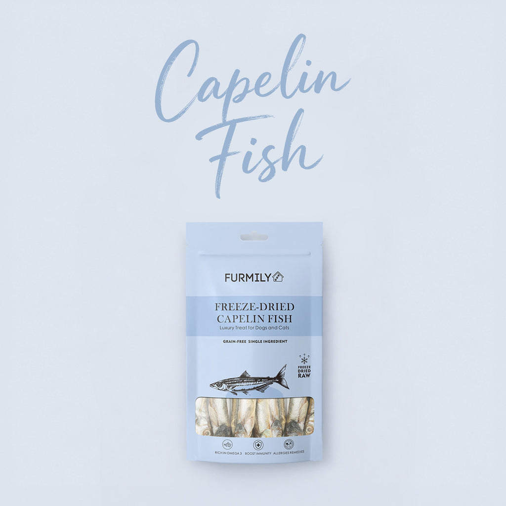 Freeze-dried Capelin Fish Pet Treats by FURMILY 40g