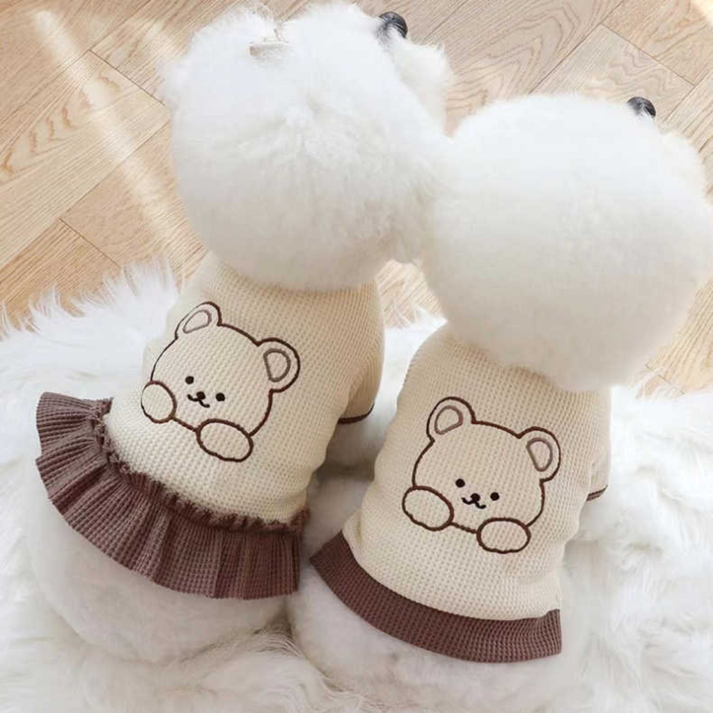 Teddy Bear T-Shirt & Dress