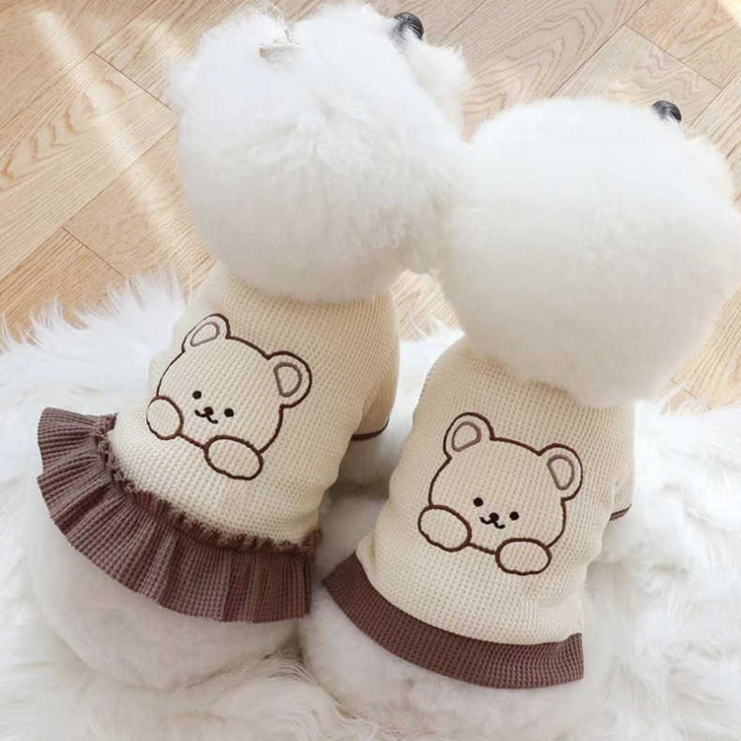 Teddy Bear T-Shirt & Dress