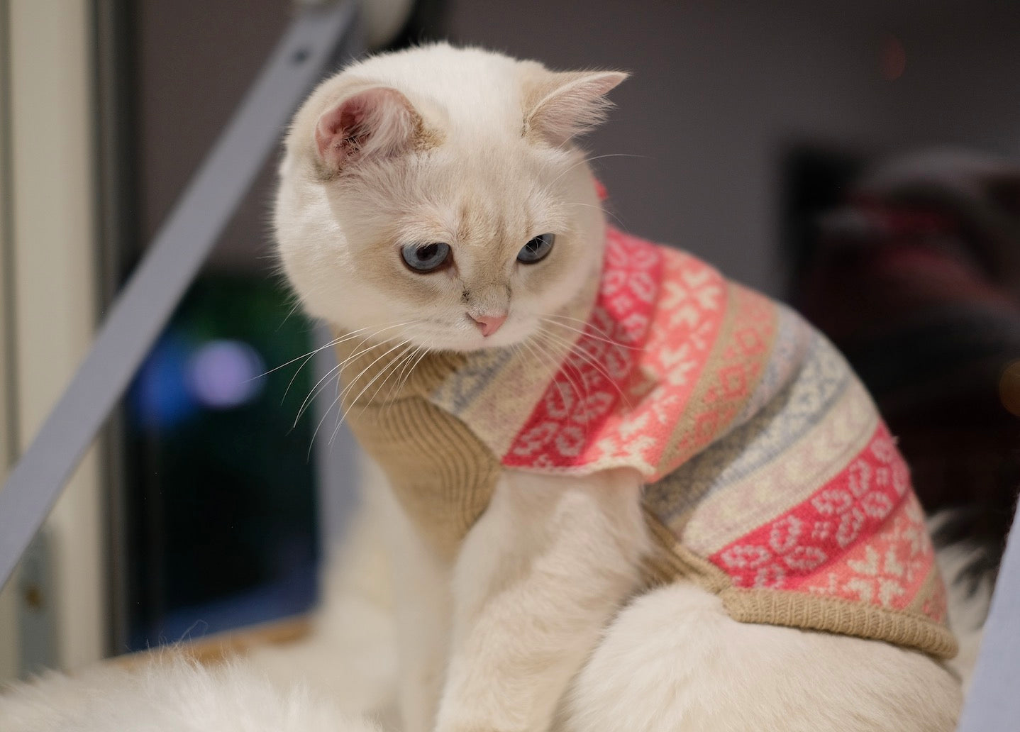 Mum's Good Girl Christmas Winter Jumper for Dogs and Cats