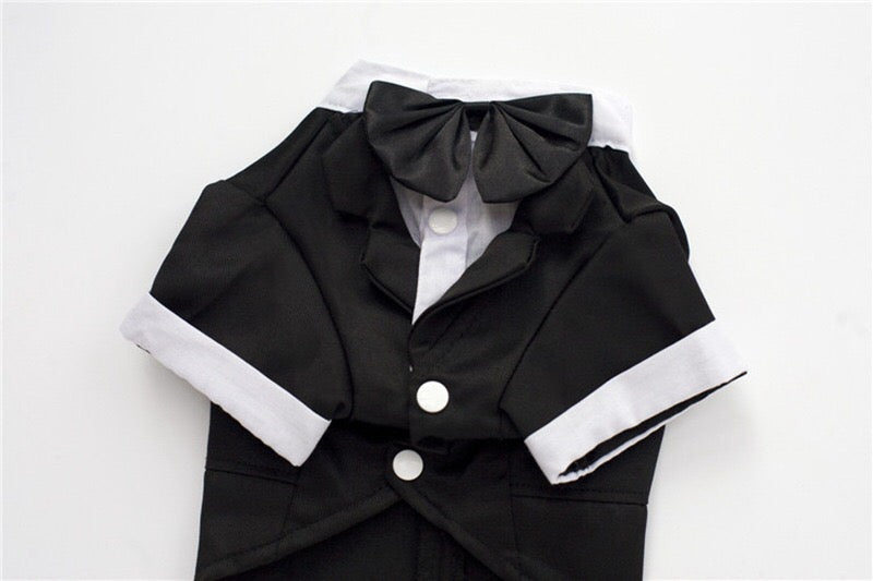 ‘Suit up!’ Black Tie Tuxedo