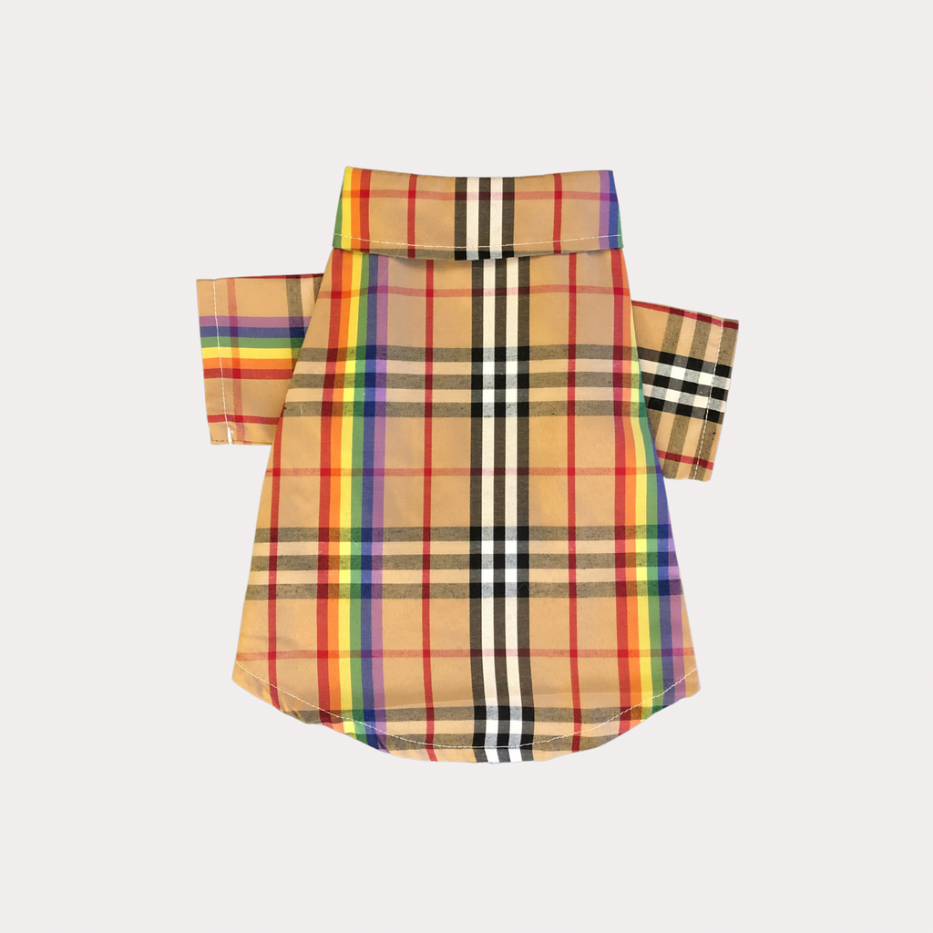 "Love is Love"  Pride Shirt with Rainbow Plaid